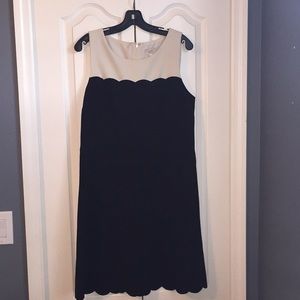 Loft Dress 12